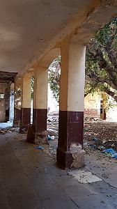 ORAN ECOLE PASTEUR QUI EST SQUATTEE (1)